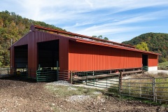 livestock-20