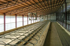 livestock-24