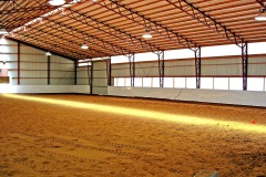 equine-13