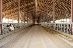 kbuilding-14